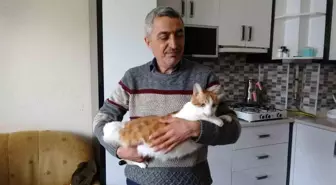 Rüyasına girdi, depremde mahsur kalan kedisini canı pahasına kurtardı