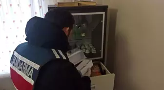 800 bin liralık vurgun yapan telefon dolandırıcıları yakalandı