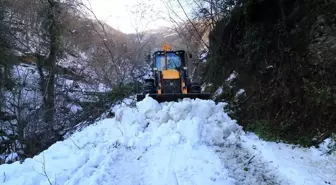 Doğu Karadeniz'de kar nedeniyle kapalı 110 köy yolu bulunuyor