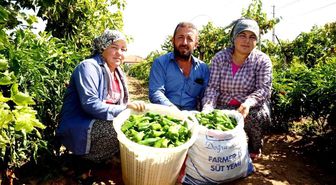 Emcelli Biberi'ne coğrafi mahreç işareti