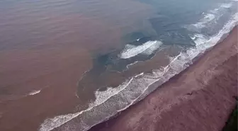 Şaşırtan görüntü! Karadeniz çamura büründü