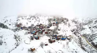 Artvin'de çığ altında kalan bir kişi kurtarıldı