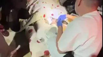 BACAKLARI AMPÜTE EDİLEN İNCİ, CUMHURBAŞKANLIĞI UÇAĞI İLE ANKARA'YA GÖTÜRÜLDÜ