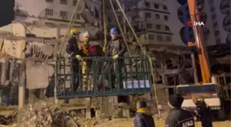 Galeria İş Merkezi'nde kurtarılan 7 kediden 6'sı sahibine teslim edildi