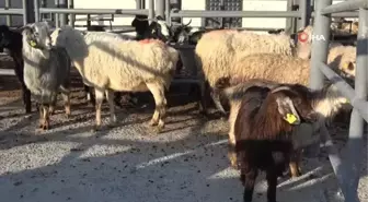 Kütahyalı üreticilerden anlamlı bağış