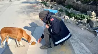 Afet bölgesindeki can dostlara Osmangazi şefkati