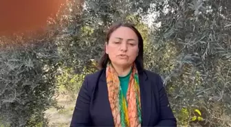 Müzeyyen Şevkin: Jeoteknik Etütleri Yapılmadan Orman ve Meralarda Yapılaşmaya Gidilmesi Akla, Mantığa ve Bilime Uygun Değil. Derhal Bu Kararınızdan...