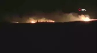 Gala Gölü Milli Parkı sazlık alanda çıkan yangın paniğe neden oldu