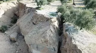 Deprem sonrasında hayrete düşüren görüntüler! Hatay'da zeytin bahçesinde sarsıntılar sonrasında dev yarıklar oluştu