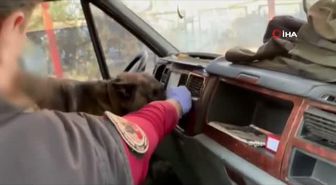 Batman'da narkotik köpeklerinden uyuşturucu tacirlerine darbe