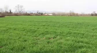 Düzce'nin Hacıahmetler Köyüne Yapılmak İstenen Osb'ye Bölge Halkı Tepki Gösterdi: 'Topraklarımız Birinci Sınıf Tarım Arazisi'