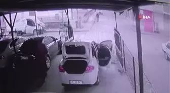 Köpeklerden korkan yaşlı adam böyle kaçtı