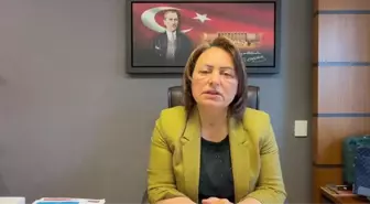 Müzeyyen Şevkin: 'Felaketin Üzerinden Tam Bir Ay Geçti. Deprem Bölgesinde Her Şey, Bir Ay Önceki Gibi…'