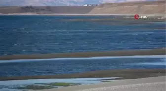 Van Gölü seviye kaybediyor: Sahildeki kum adalarının sayısı arttı