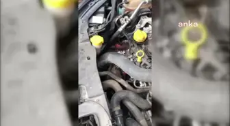 Sinop'ta Aracın Motoruna Sıkışan Sansar İtfaiye Ekiplerince Kurtarıldı