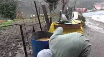 6 metrekarelik alanda hayvanları için 10 tona yakın yem üretiyor
