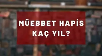 Ağırlaştırılmış müebbet ne demek? Ağırlaştırılmış müebbet nedir, kaç yıl?