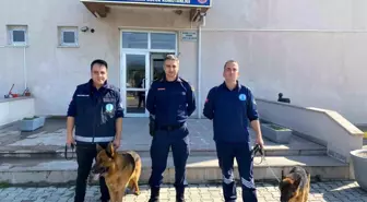 Eğitimlerini tamamlayan 2 köpek jandarmaya sahiplendirildi