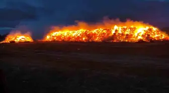 Konya'da 2 bin fiğ ve 800 ton yonca balyası yandı