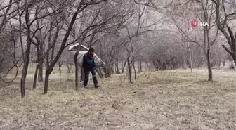 Bahçelerde bahar temizliği erken başladı