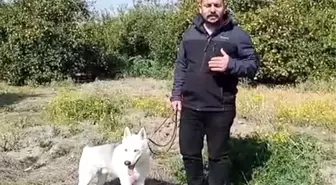Depremzede konteyner almak isterken 60 bin TL dolandırıldı