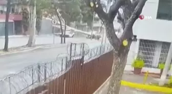 Meksika'da şiddetli rüzgar 66 ağacı devirdi: 5 yaralı