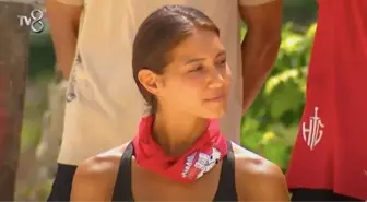 Survivor Merve neden takım değiştirdi? Merve Yıldırım neden Ünlüler takımında?