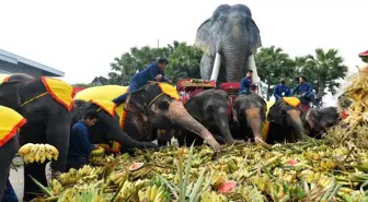 Tayland'da Ulusal Fil Günü Kutlandı