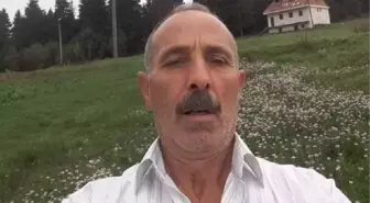 Kestiği ağacın altında kaldı, 14 gün sonra yaşamını yitirdi