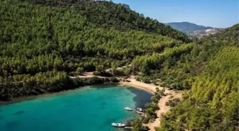 Mahkeme Cengiz İnşaat'a Devam Dedi, Bodrum Belediyesi İtiraz Etti