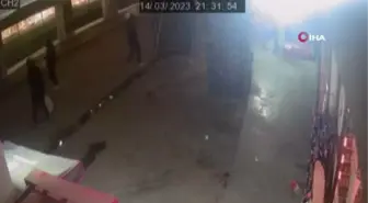 13 yaşındaki çocuğa pitbull saldırdı