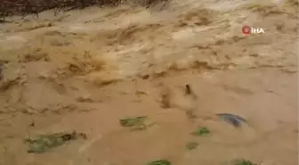 Erzincan'da derelerden taşan sel suları köy yollarını ulaşıma kapattı