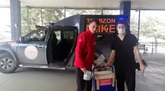 Ağacın altında kalarak ağır yaralanmıştı, organları 3 hastaya umut oldu