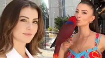 Burcu Özberk... KAYBOLAN PAPAĞANINA KAVUŞTU!