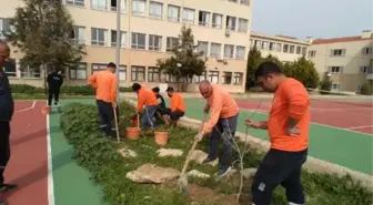 Çeşme Belediyesi, İlçedeki Tüm Okulların Bahçesine Meyve Ağacı Dikti