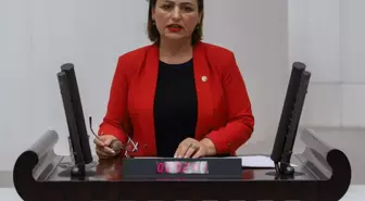 Müzeyyen Şevkin'den Fuat Oktay'a: 'Ordu, Deprem Anında Neden Harekete Geçmedi'