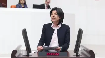 Sibel Özdemir, Çalışma Bakanlığı'nın Bankacılık Sektörü Çalışanlarının Koşullarını Araştırmasını İstedi