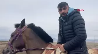 ATIYLA YARIŞI KAZANDI, HEYECANDAN YERE YIĞILDI