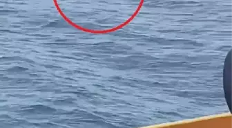 MARMARA DENİZİ'NDE FERİBOTTAN ATLAYAN YOLCUYU SAHİL GÜVENLİK EKİBİ KURTARDI