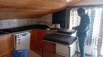 Jandarma'dan kaçak çörek otu yağı operasyonu: Piyasa değeri 8 milyon TL