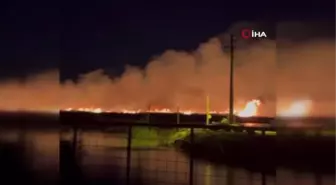 Kuş Cenneti'ndeki yangınlar çevrecileri endişelendiriyor