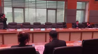 Yapı İşleri Genel Müdürü, TBMM Deprem Araştırma Komisyonu'nda Yapı Denetimdeki Usulsüzlüğü Anlattı.
