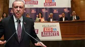 HDP'nin aday çıkarmayacak olmasına Cumhurbaşkanı Erdoğan'dan ilk yorum