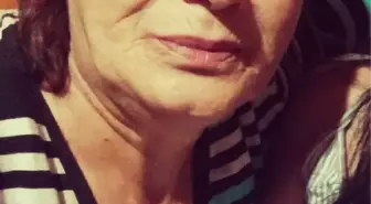 Başıboş köpeklerin saldırısına uğrayan kadın yaralandı