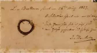 Beethoven'ının saç telleri incelenerek sağlığı hakkında bilgiler elde edildi