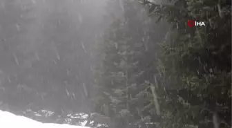 Bolu'nun yüksek kesimlerinde kar yağışı ve yoğun sis etkisini gösterdi