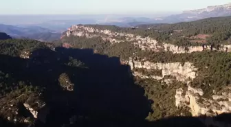 İspanya'da 100'den Fazla Tarih Öncesi Gravür Bulundu