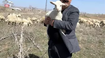 Tarımda yeni bir dönem