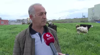 Deprem Sonrası Kaldığı Yurttan Çıkmak Zorunda Kalan ve İslahiye'de Çadır Yaşamaya Başlayan Üniversite Öğrencisi Polat: 'İnternet Desteği Alamadığımız...