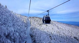 Teleferiğe 3 haftalık bakım molası